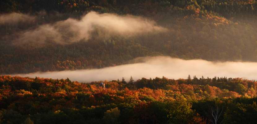 Morning fog over autumn forest